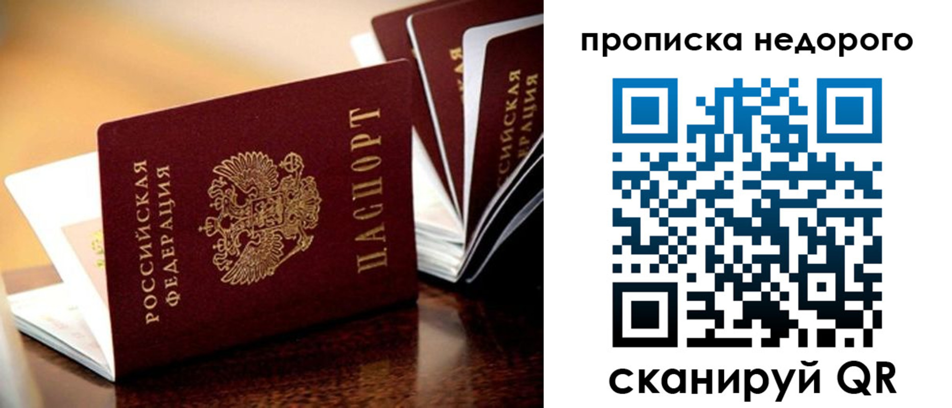 временная прописка в Гатчине